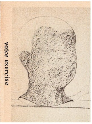 Voice Exercise