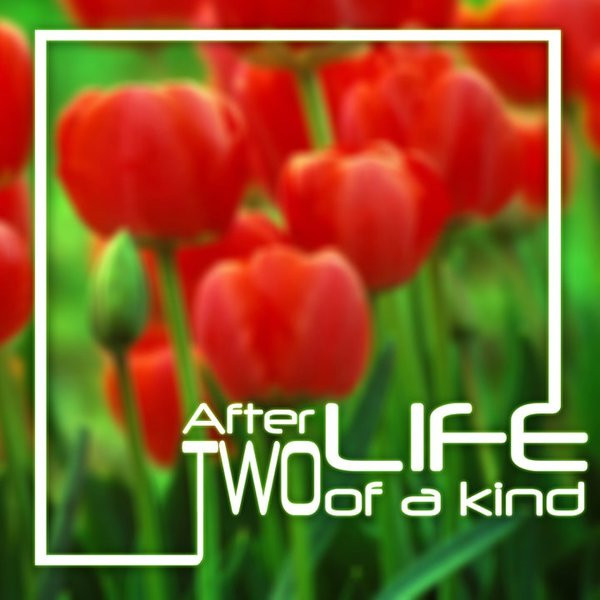 After Life