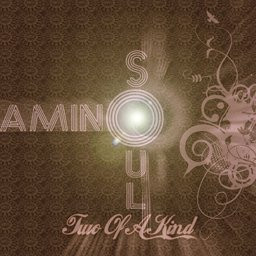 Amino Soul