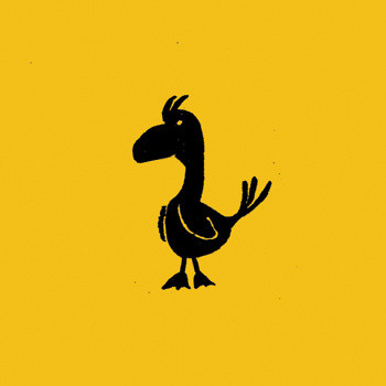 The Album With The Bird