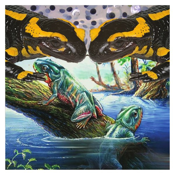Amphibious Radost