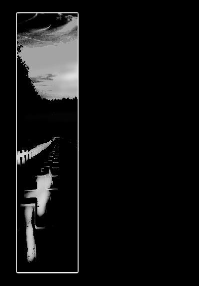 Silent Salvation
