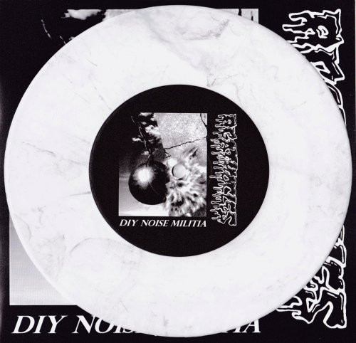 DIY Noise Militia / Forever Mincing