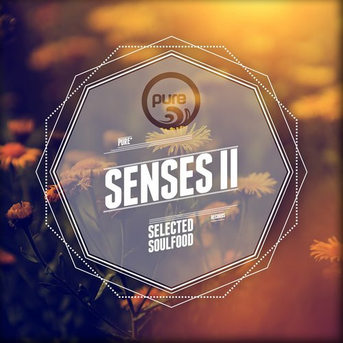 Pure* Senses II (Selected Soulfood)