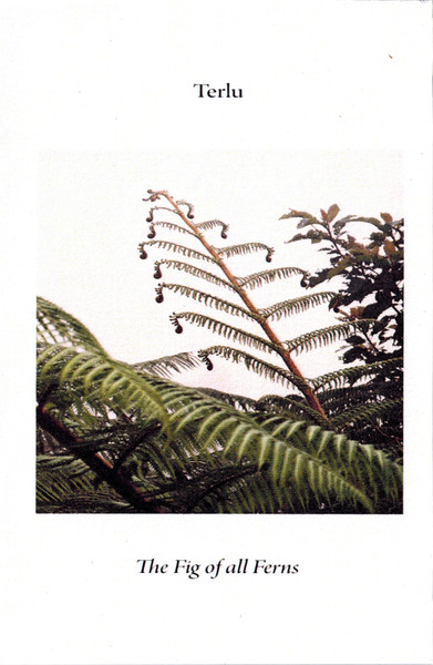 The Fig Of All Ferns