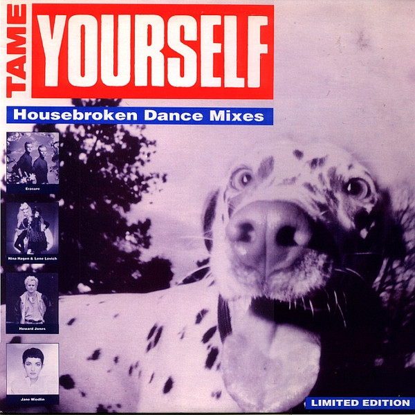 Tame Yourself (Housebroken Dance Mixes)