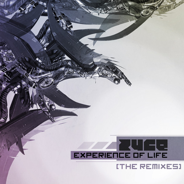 Experience Of Life (The Remixes)
