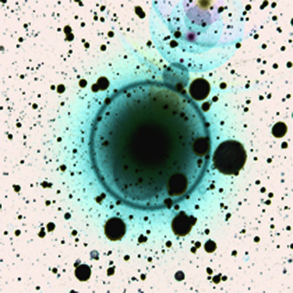 Simple Science EP