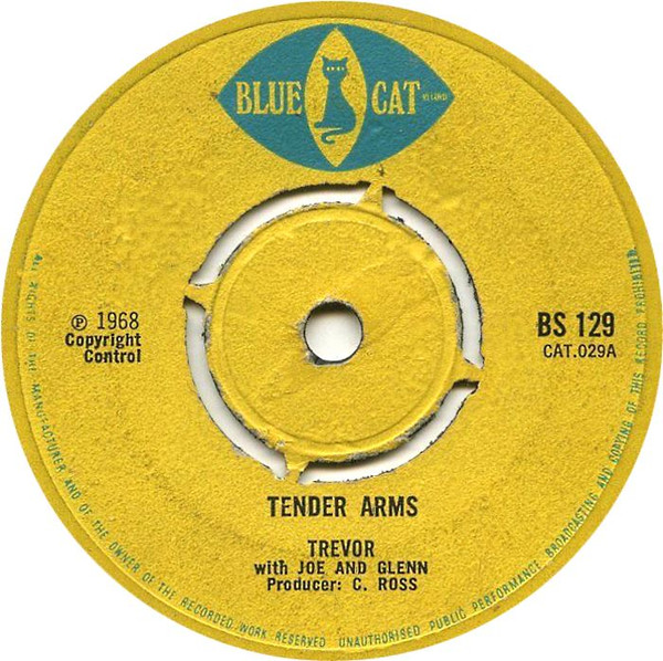 Tender Arms / Something Is Worrying Me