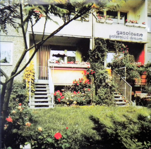 Polaroidd Dream...