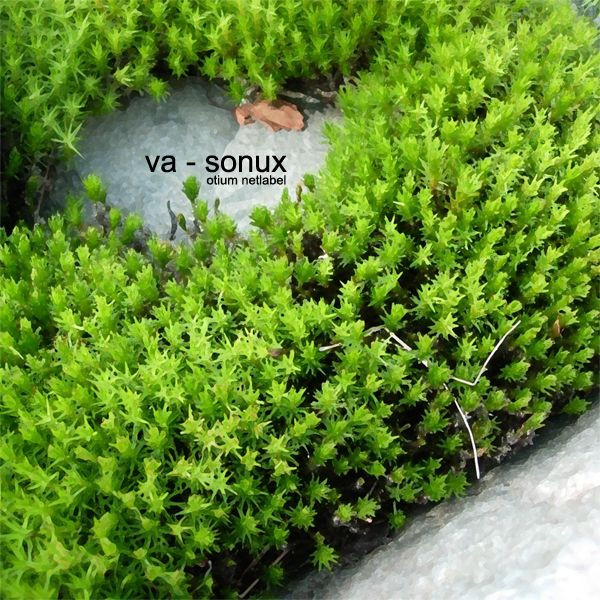 Sonux