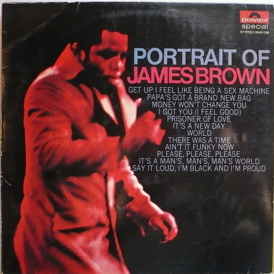 Portrait Of James Brown