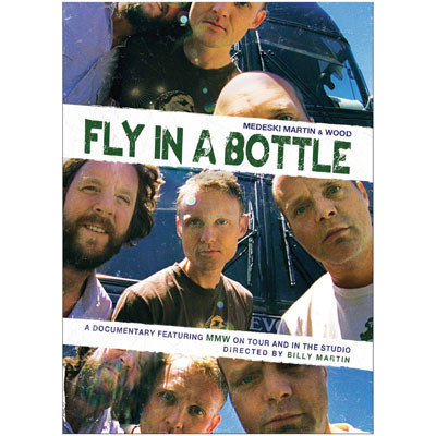 Fly In A Bottle