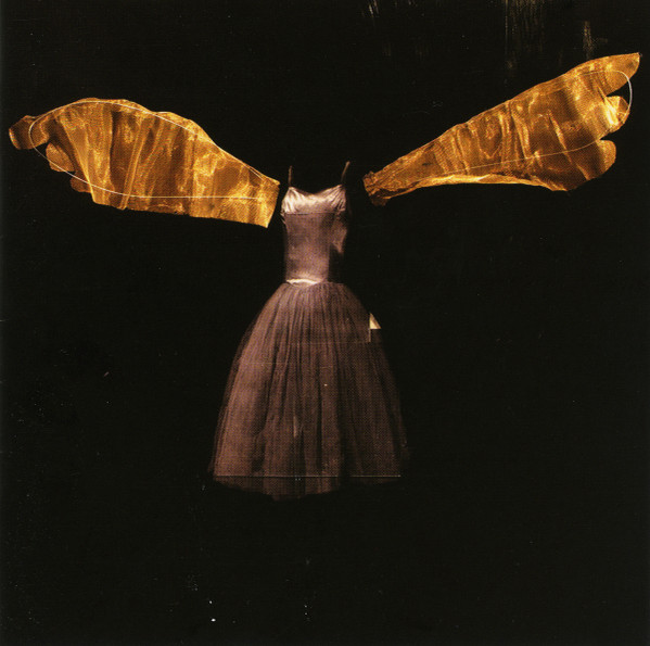 Insects With Angel Wings