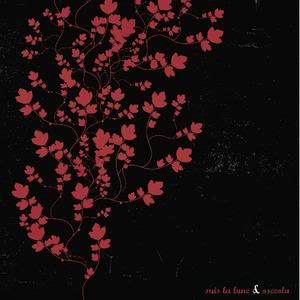 Split 7"