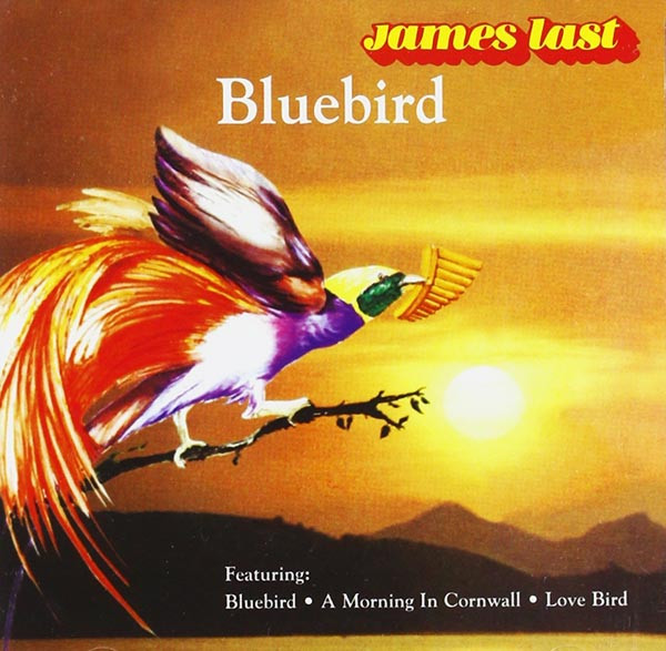 Bluebird