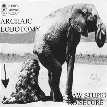 Raw Stupid Noisecore