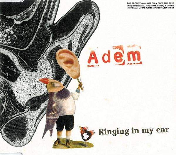 Ringing In My Ear