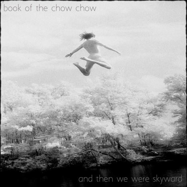 And Then We Were Skyward