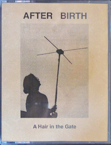 A Hair In The Gate