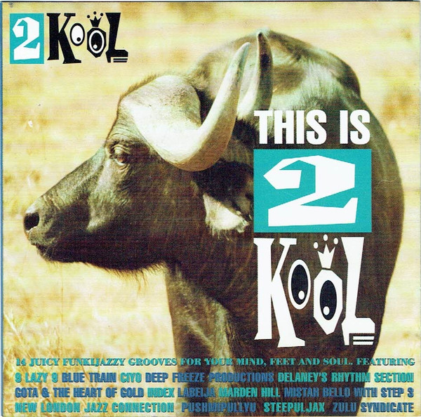 This Is 2 Kool