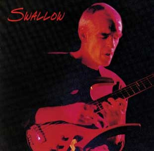 Swallow