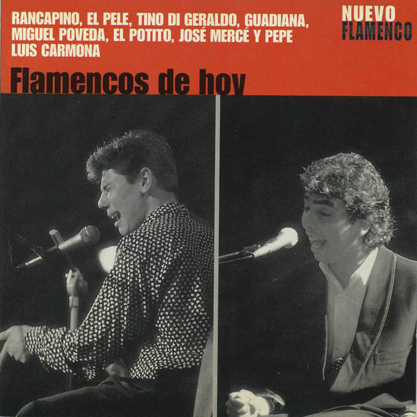 Flamencos De Hoy