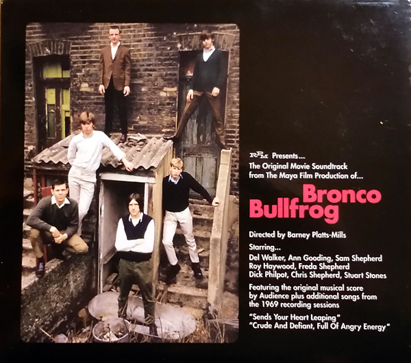 Bronco Bullfrog