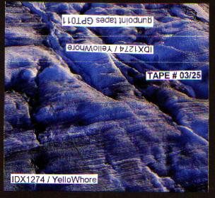 IDX1274 / Yellowhore [Split]