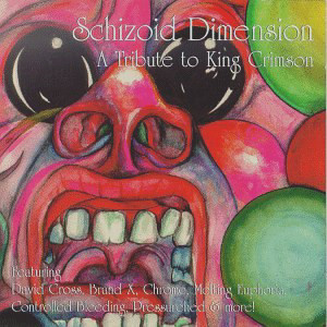 Schizoid Dimension - A Tribute To King Crimson