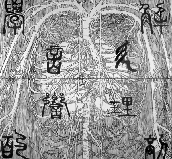 Pathosonico Anatomico