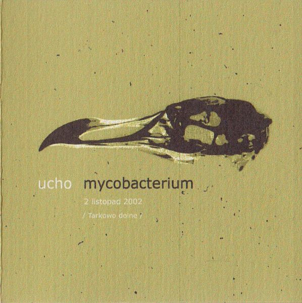 Mycobacterium