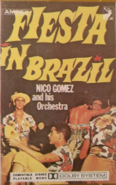 Fiesta In Brazil
