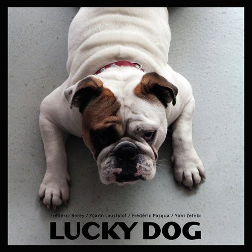 Lucky Dog