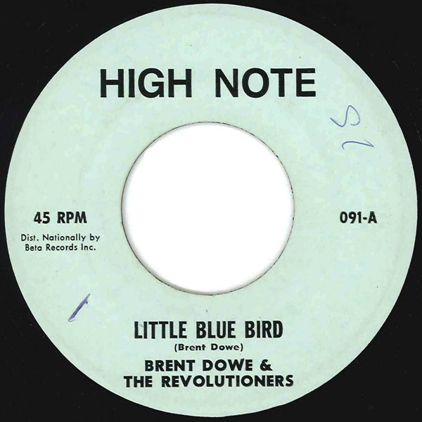 Little Blue Bird