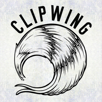 Clipwing / Icons Down !
