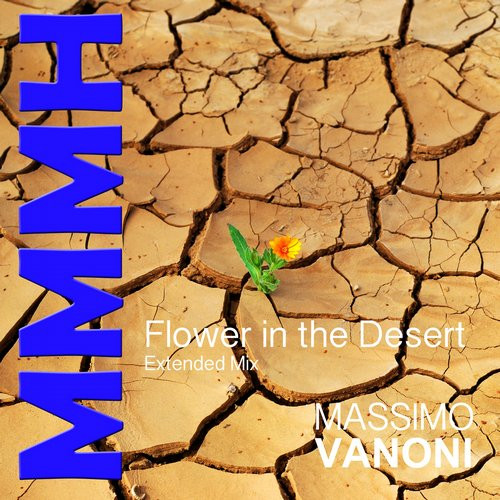 Flower In The Desert
