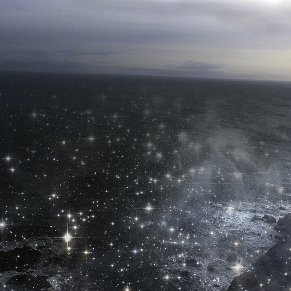 The Sea Of Night