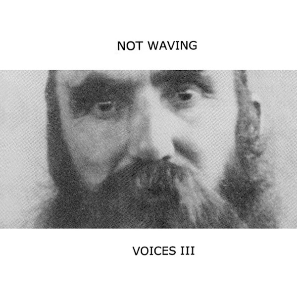 Voices III