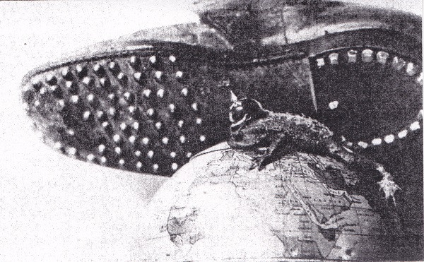 Aggression Pact