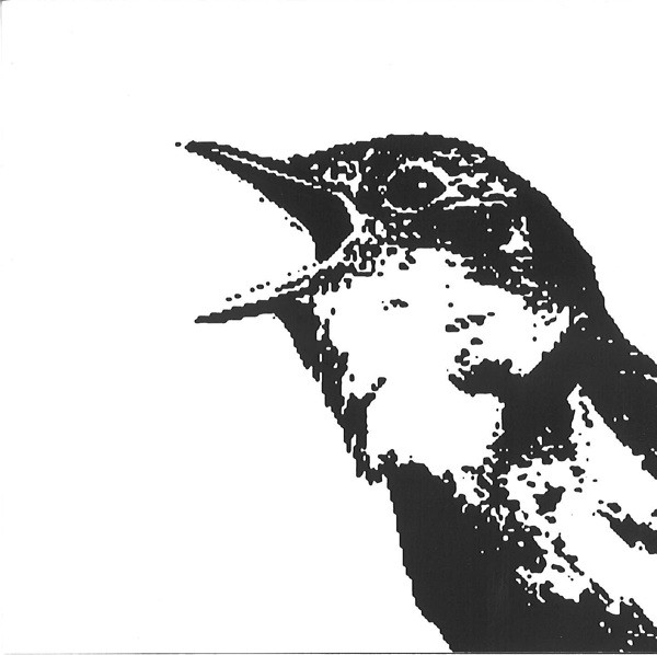 Nightingale Variations