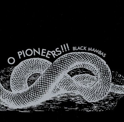 Black Mambas