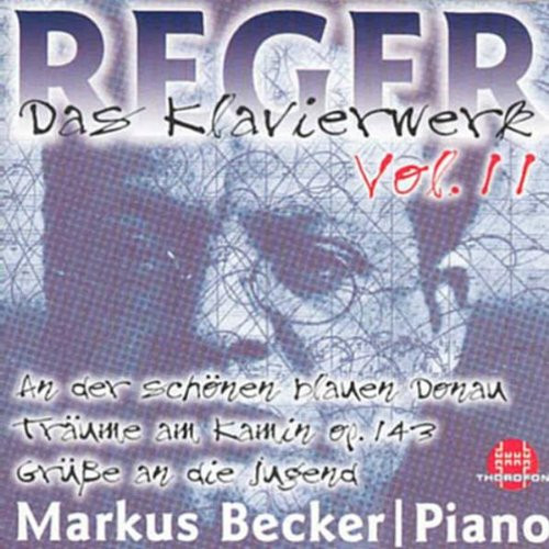 Das Klavierwerk Vol. 11: An Der Schönen Blauen Donau / Träume Am Kamin Op. 143 / Grüße An Die Jugend