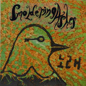 Songs In the Key of Mountain Birds Blue