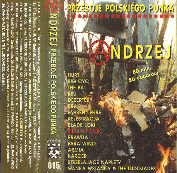 Andrzej Przeboje Polskiego Punka