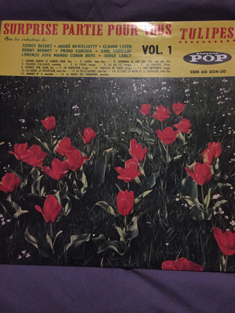 Surprise Partie Pour Vous N° 1 "Tulipes"