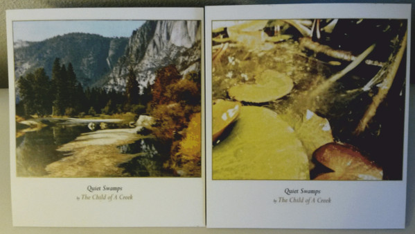 Quiet Swamps