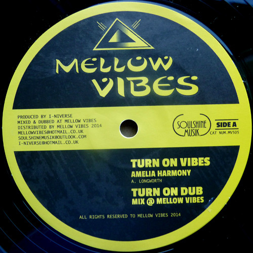 Turn On Vibes / Life So Serious