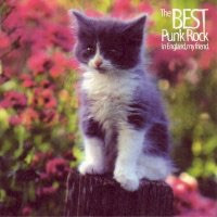 The Best Punk Rock In England, My Friend