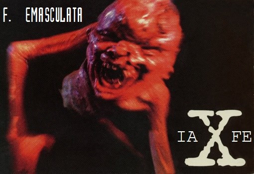 IAXFE